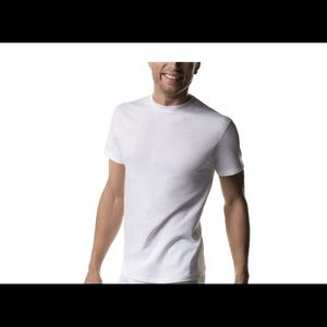 Hanes Men's 3-Pack Tagless Cotton Crew Neck Shirts